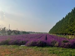 -嘉北郊野公园