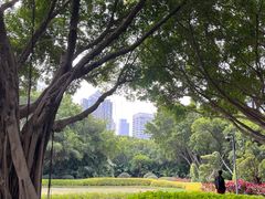 -白鹭洲公园