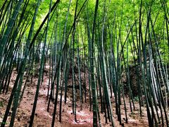 -崀山风景名胜区