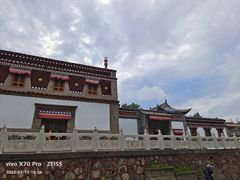 -塔尔寺菩提树