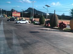 -东芭乐园