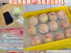 -老袁家蜜桃农场·阳山水蜜桃