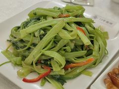 -津津菜馆(绝没分店)