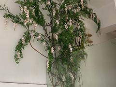 -左悦·艾灸调理·推拿按摩·精油SPA(卓悦汇店)