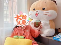 -PAWTOY爪e玩偶店(天兴罗斯福店)