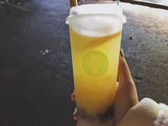 -树夏(建设路店)