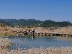 -东钱湖旅游度假区