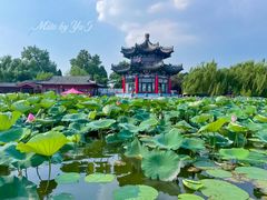 -济南大明湖景区