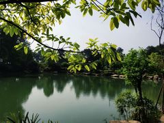 -铁山坪森林公园