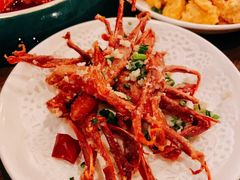 -三酉星·枫·山風与野菜(上海总店)
