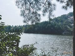 -嵖岈山风景区