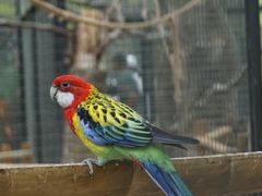 -北京野生动物园