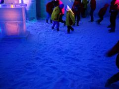 -世界之窗阿尔卑斯冰雪世界