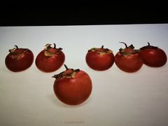-杭州工艺美术博物馆