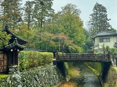 -西芳寺(苔寺)
