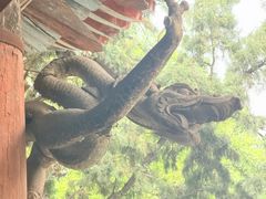 -晋祠博物馆