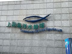 -上海海洋水族馆