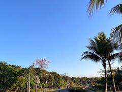 -深圳湾公园(南山区)