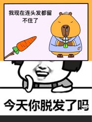 -Bollins波林丝•专研护发中心