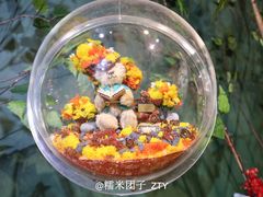 -济州岛泰迪熊博物馆