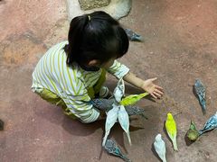 -正佳雨林生态植物园