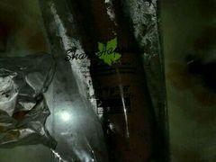 -丽莎蓓甜CAKE生日蛋糕·动物奶油(石家庄店)