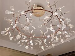 -侨美·唐荔园·40年地道粤菜