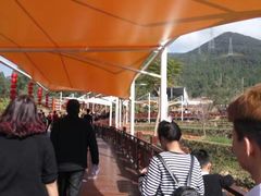 -泉州海丝野生动物世界