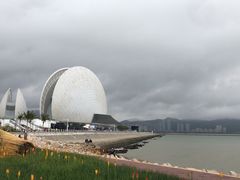 -野狸岛