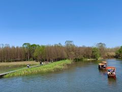 -溱湖国家湿地公园