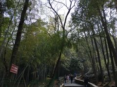 -灵岩山风景区