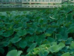 -白塘生态植物园