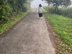 -海南热带雨林国家公园吊罗山景区