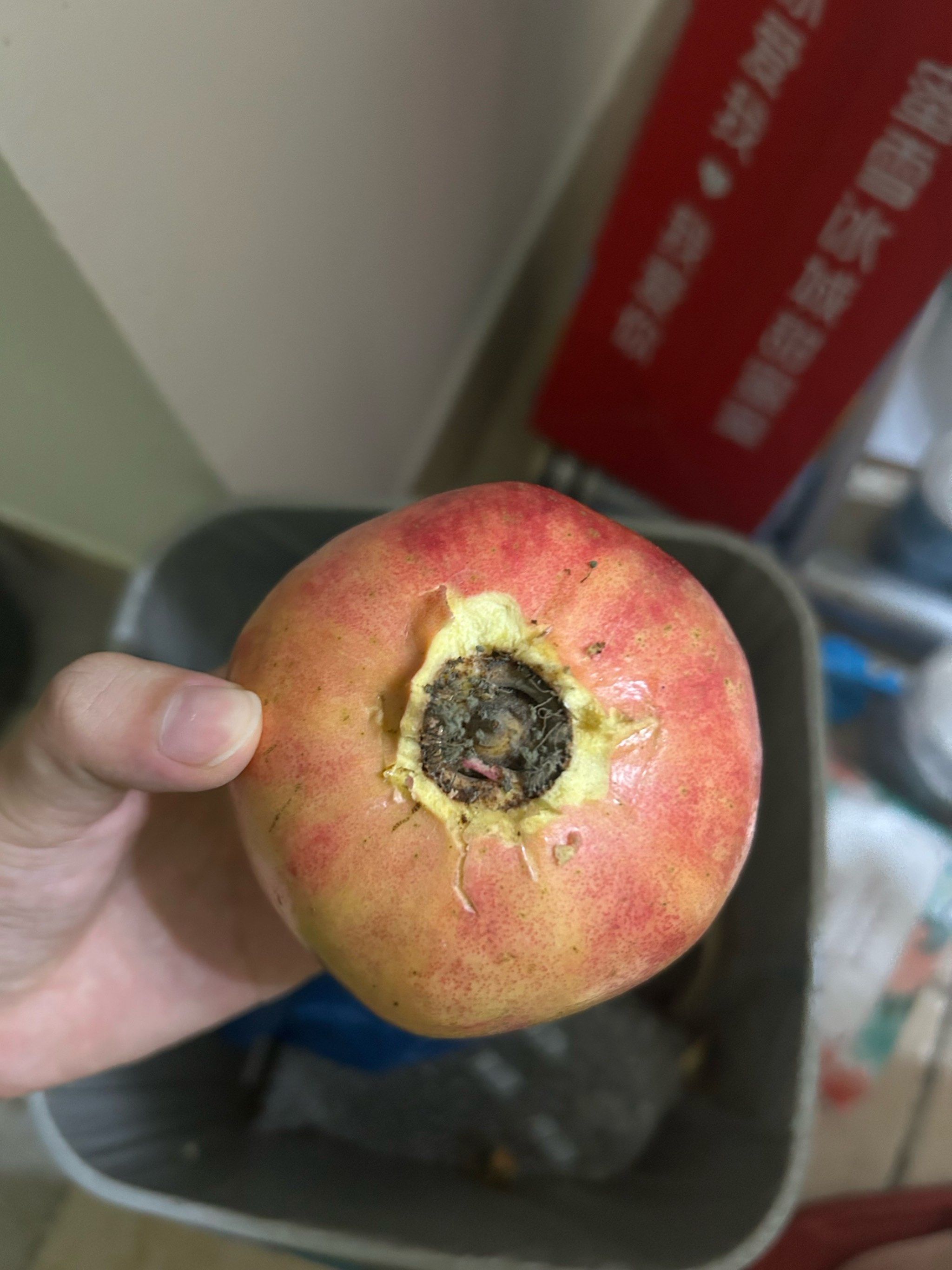 石榴这样正常吗?里面完好的,还很甜