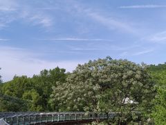 -合肥野生动物园
