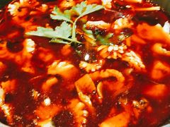 -重庆乌鱼庄·龙滋鲜(青羊大道店)