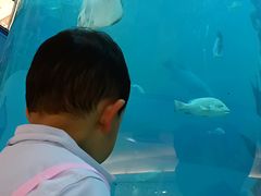 -鸿通城购物中心