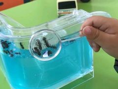 -童学馆(太子山路店)