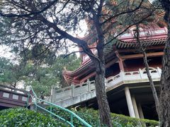 -三水森林公园