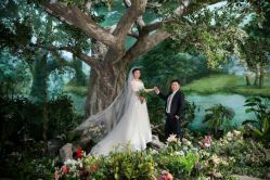 -保定金沙芝柏婚礼策划