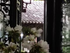 -上海醉白池公园