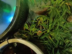 -湘当爱·鲜煮现炒(松岗立业路店)