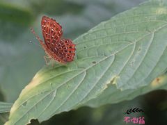 -小七孔景区东门售票处