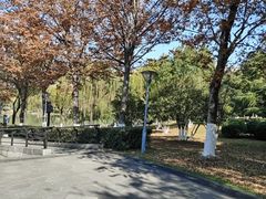 -桐乡植物园