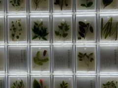 -广东中医药博物馆