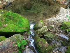 -本溪汤沟绿石谷森林公园
