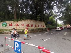 -广州市流溪河国家森林公园