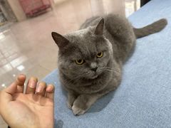 -派特宠物医院(圆融广场店)