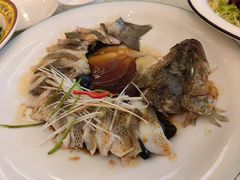 -博雅渔港·融合菜(维也纳国际大酒店)