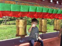 -武清南湖绿博园